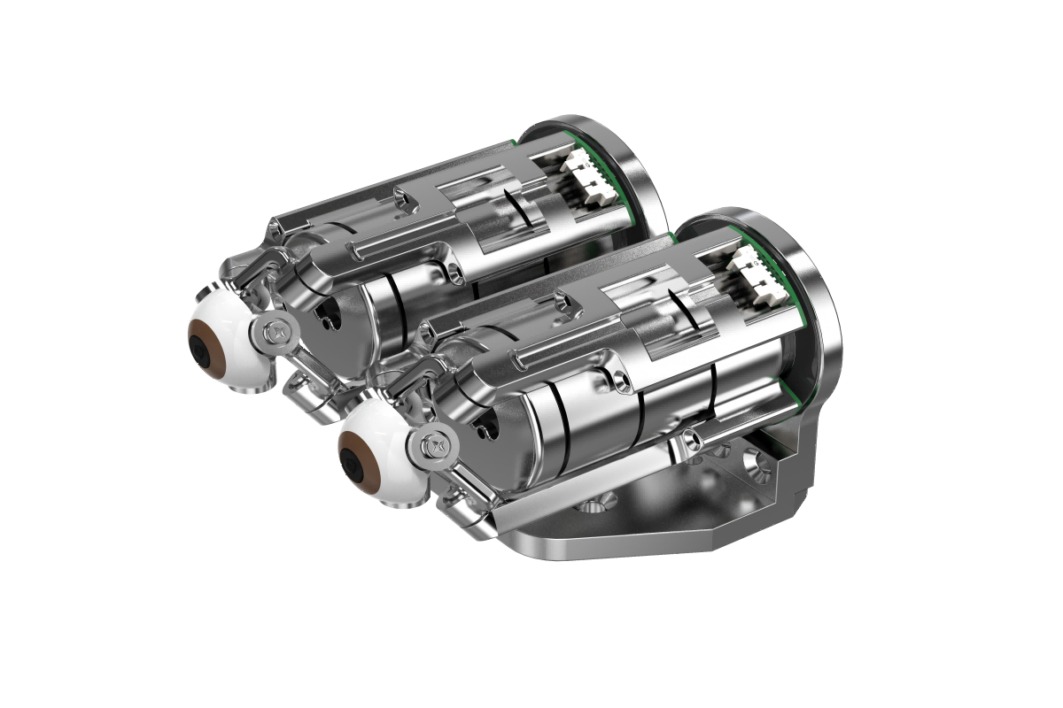 BinoSense P320-A Parallel Biomimetic Binocular Vision System