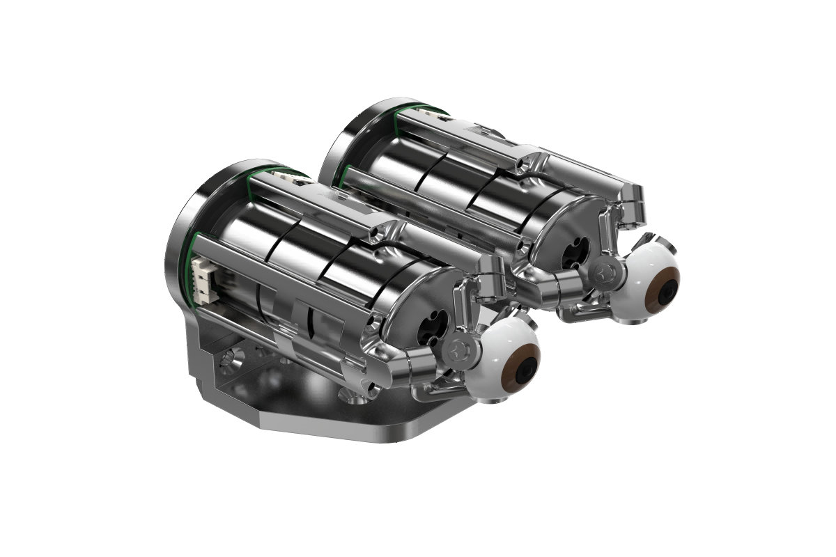 BinoSense P320-A Parallel Biomimetic Binocular Vision System