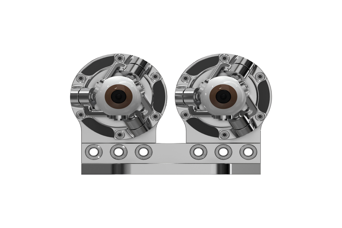 BinoSense P320-A Parallel Biomimetic Binocular Vision System