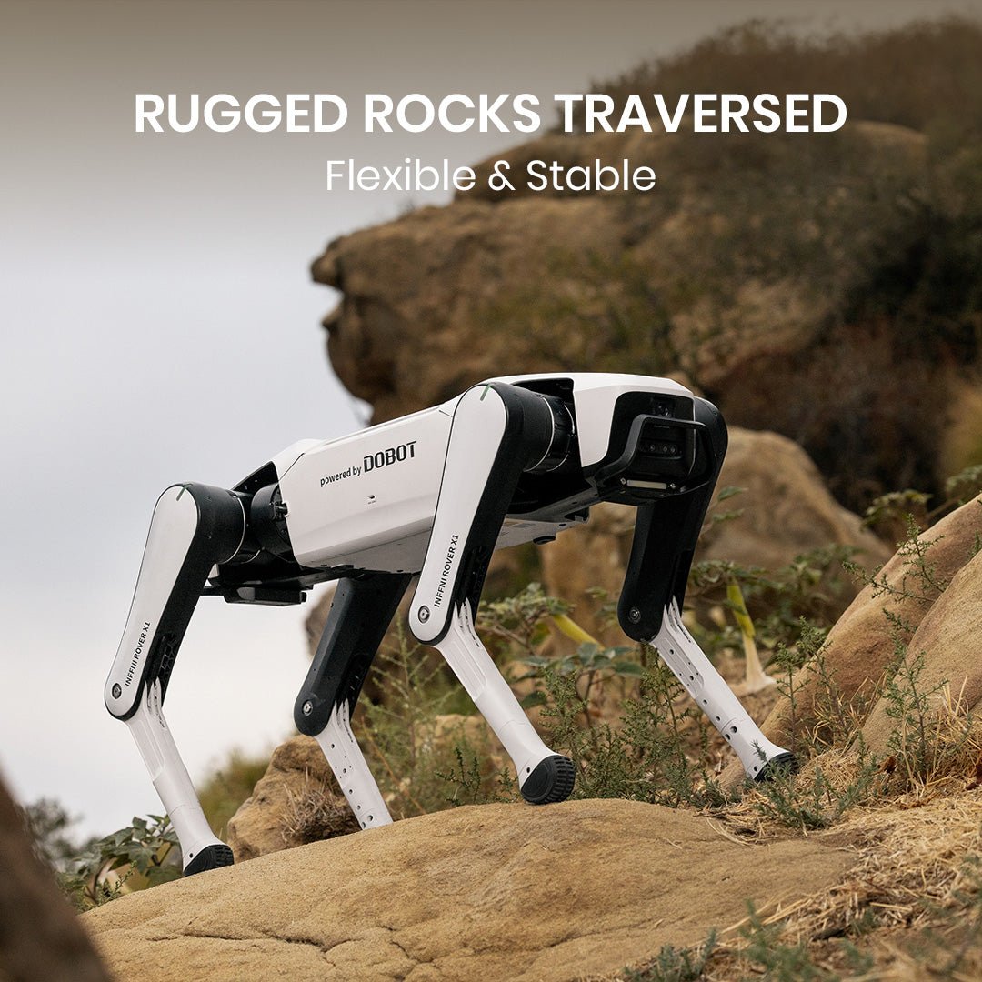 Rover X1 Pro product image 5