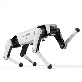 Rover X1 Pro product image