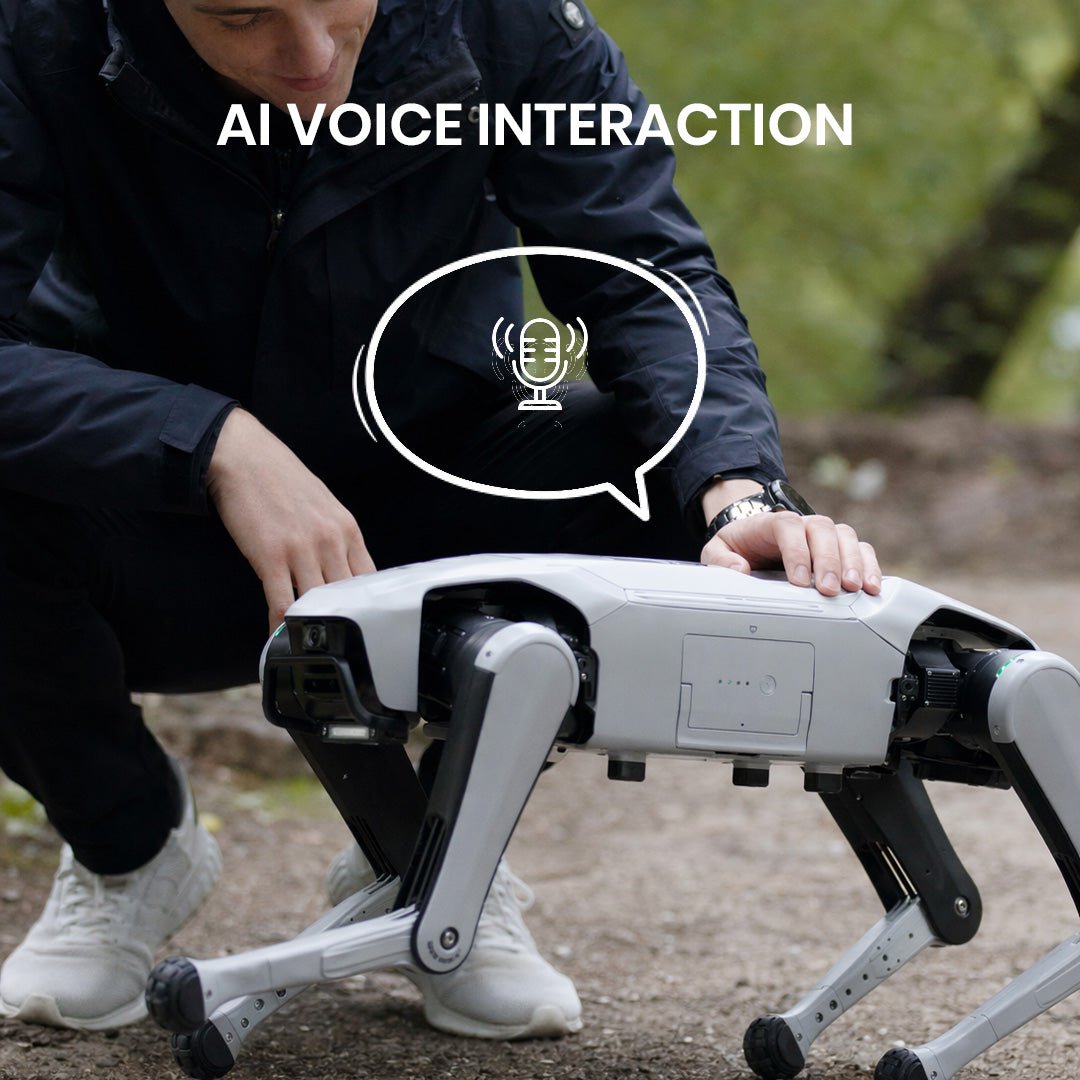 Rover X1 Pro product image 6