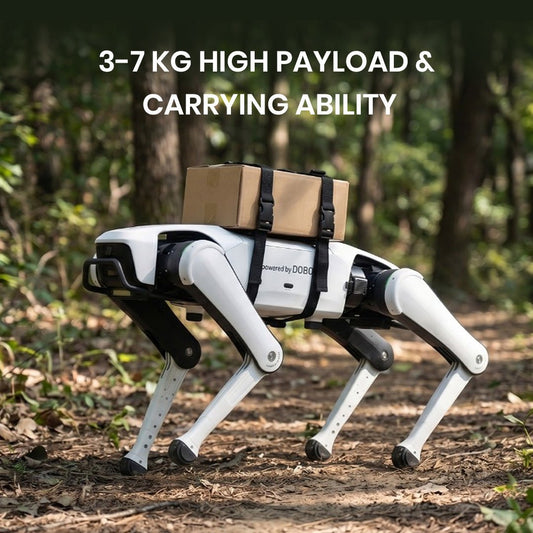 Rover X1 Pro product image 2