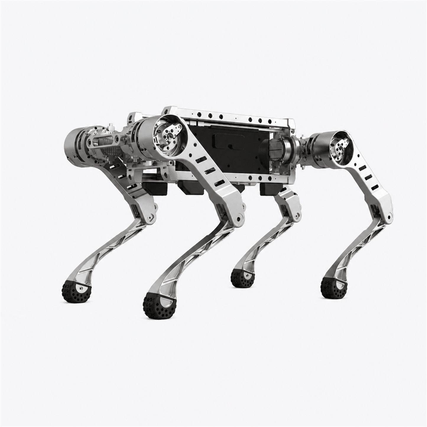 Tiive OEM ROBOTDOG