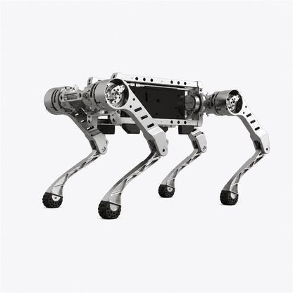 Tiive OEM ROBOTDOG